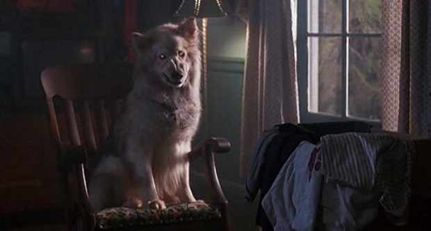 Revisiting the film of Stephen King's Pet Sematary 2
