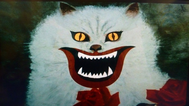 The importance of cats in horror cinema