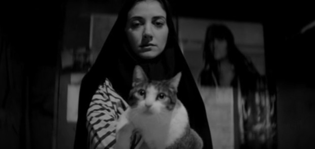 The importance of cats in horror cinema