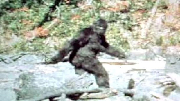 Discovering Bigfoot: anticipating a frightful Netflix documentary