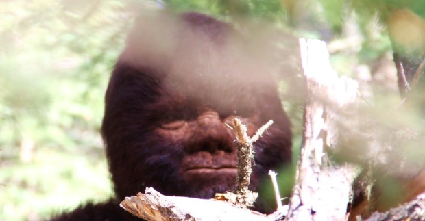 Discovering Bigfoot: anticipating a frightful Netflix documentary