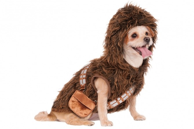 Han Solo: the coolest merchandise our galaxy has to offer