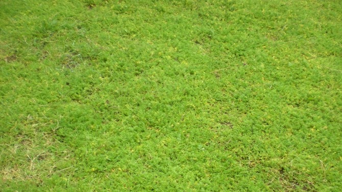 The TV programmes that made your heart sink as a child