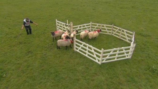 The TV programmes that made your heart sink as a child