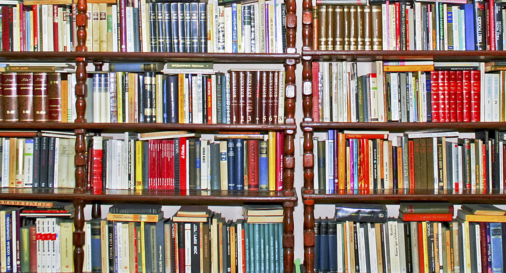 Books On Shelves Png The Dark Carnival