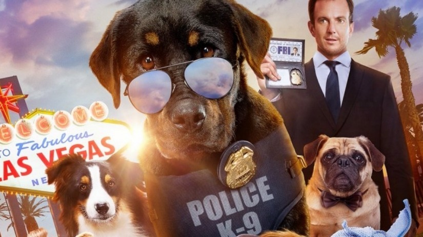 Show Dogs review