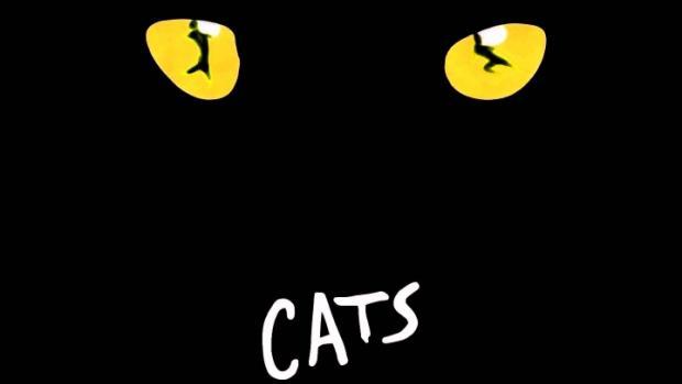 Cats: big screen musical set to cast Anne Hathaway