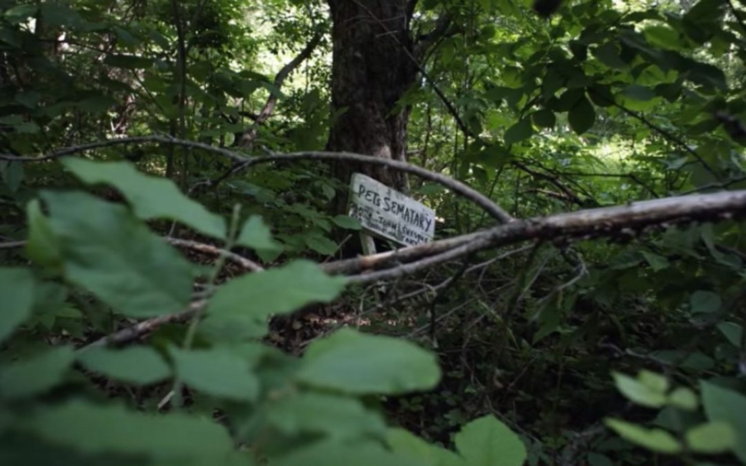 Search for Castle Rock Doc Explores Stephen King’s Childhood