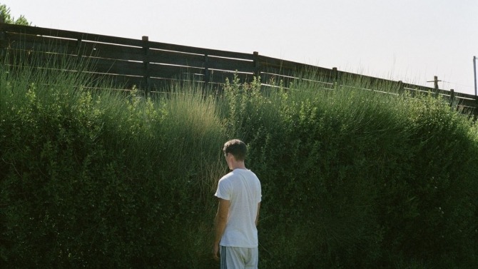 Dogtooth and the power of language