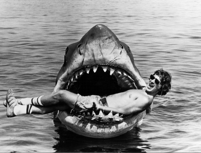 Sharks on film: a complete history