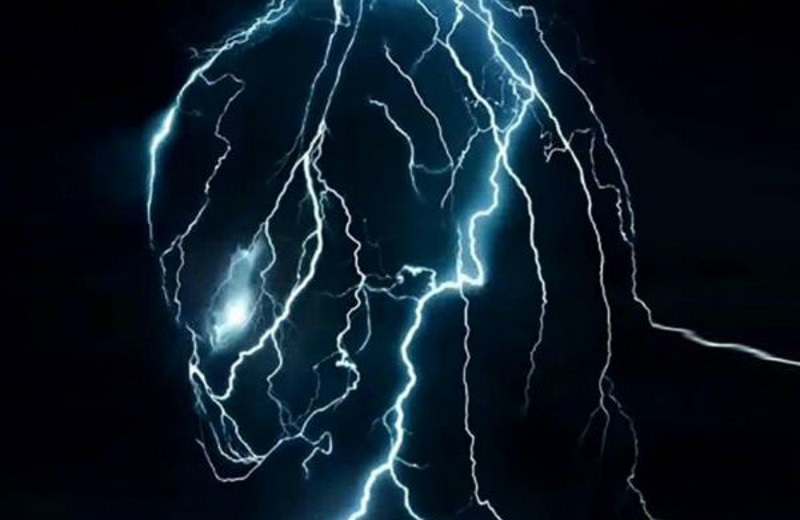 Exploring The Predator: Hunters And Hunted prequel novel