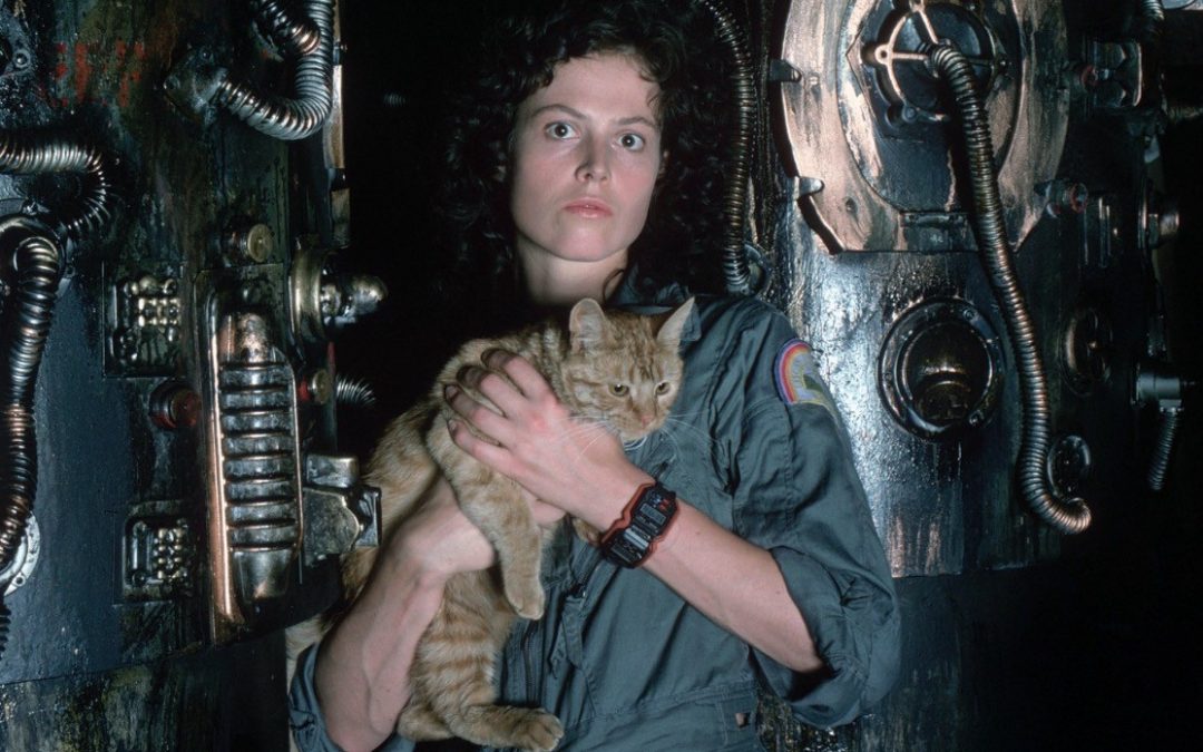 Jonesy from Alien gets his own book