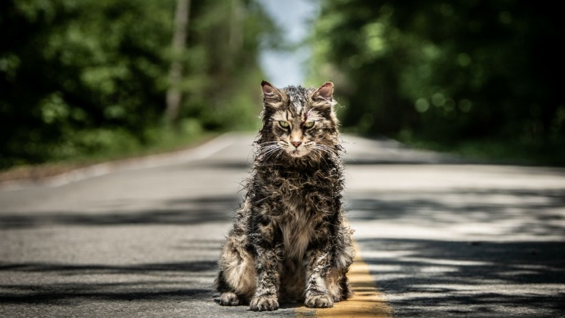 Pet Sematary remake: the first trailer is here