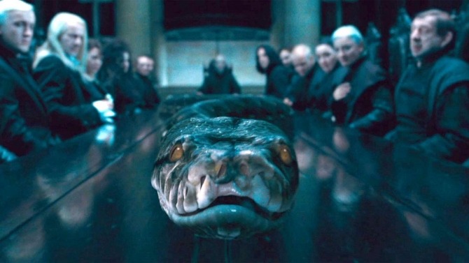Fantastic Beasts 2: who is Nagini and how does she fit into the Wizarding World?