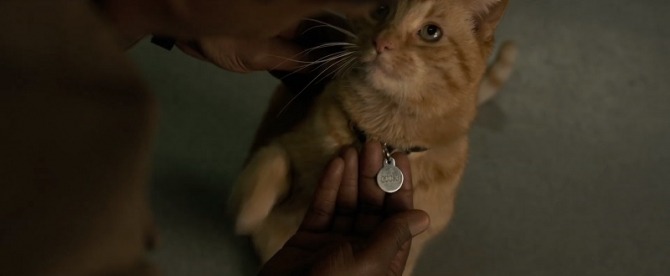 New Captain Marvel trailer breakdown and questions