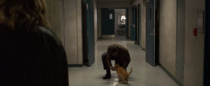 New Captain Marvel trailer breakdown and questions